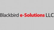 Blackbird e-Solutions