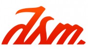 The DSM Group
