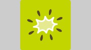 Kiwi Creative