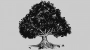 ParkWest Creative Solutions
