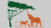Zoo In A Jungle Marketing