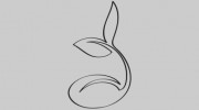 Entropic Studio