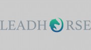 Lead Horse Marketing