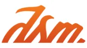 The DSM Group