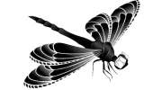 SugarFly Studios