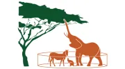 Zoo in a Jungle Marketing